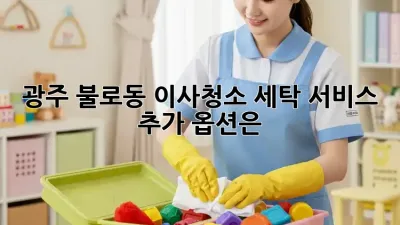 광주 불로동 이사/청소, 세탁 서비스 추가 옵션은?